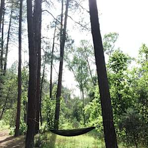 Perfect campground for hammocks! Just a short walk beyond this photo is a walking path beside the beautiful little Christopher Creek. Photo taken with iPhone 6.