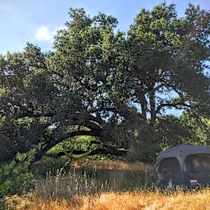 Site 60 is a great location for a very small group. Basically it only fits on tent. The fire ring and the picnic table are in the sun. The only shade is the oak tree on the slope.