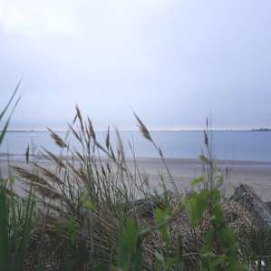 Access to a beach on one of the many inlets in the area