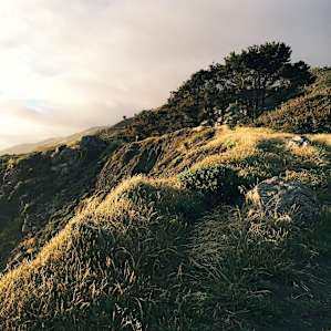 Steep Ravine Cabins and Campground