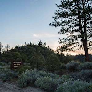 One entrance to the park on the way to the campground. Gravel roads that were passable with a car pulling a pop-up.