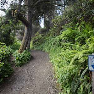 sign amenity
