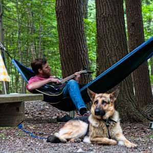 The sweet sounds of camping are best enjoyed with a dog.