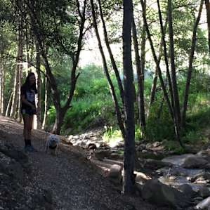 Reyes Creek Campground