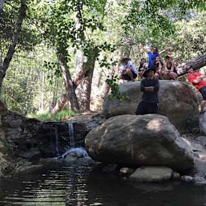 Creek-side hike to mini waterfall.