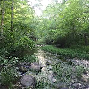 Great large rocks to sit and ponder as the stream rolls by.