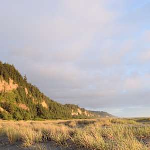 Gold Bluffs Beach Campground