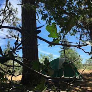 campground 11