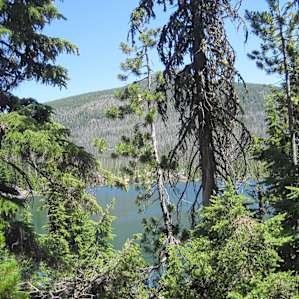 View of Olallie lake through what's left of the trees. Lots of beetle kill up there.