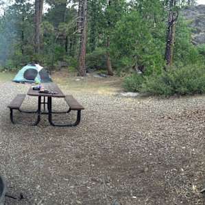 SITE