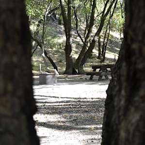 Back Ranch Meadows Campground