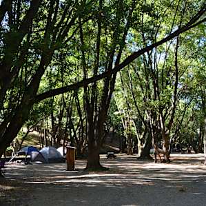 Back Ranch Meadows Campground