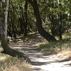Back Ranch Meadows Campground