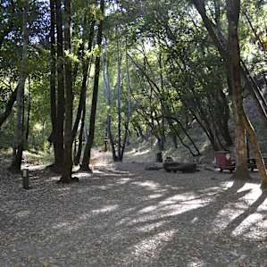 Back Ranch Meadows Campground