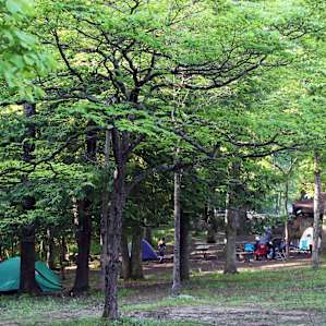 The group camp site (G1) where I spent one night in late May. It was shoulder season, so the fact that I was right between the public pool (not open yet) and the camp's sewer treatment didn't matter! I recommend the other group sites.