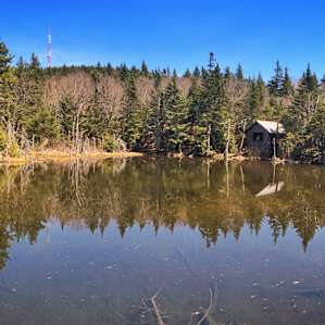 Frog pond near the top of Greylock.