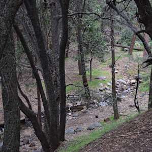 Cedar Creek Campground