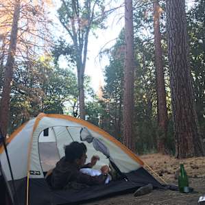 Alder Creek Campground