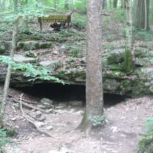 Wolf Cave
