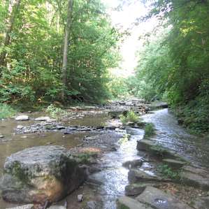 Trail 3 is in the creek!