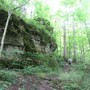 Trail 4