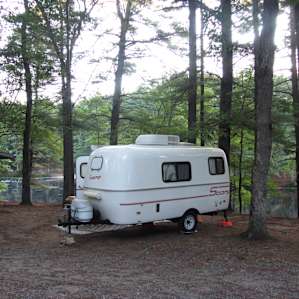 Site 81