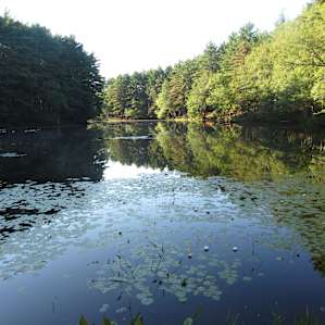 Frye Pond