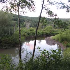 Willow Creek from the campground