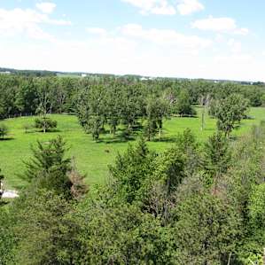 Eastern Indiana view