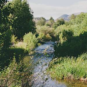 The dippin' creek.