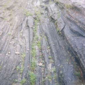 Glacial Grooves