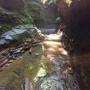Turkey Run Campground
