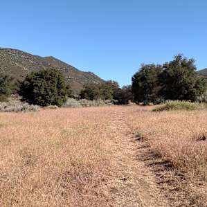 Trail behind campsite 19