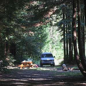 This was such a spacious campsite, nestled into the redwoods. It stayed cool but was very near to the sunny orchard.