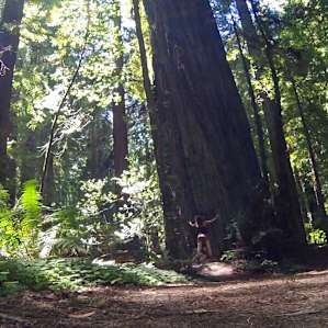 The Drury Chenney redwood trail (2.4 mile flat hike) is within about a mile from the campsite. Definitely worth exploring. It's great for everyone, for picnics, inspiration, etc. It's BEAUTIFUL!