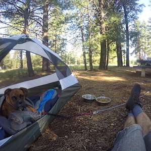 Canyon Vista Campground