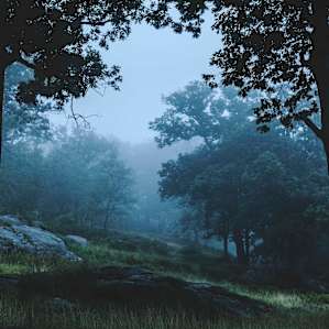 Hiking Harriman State Park, fog rolling in. Top off the Blue track