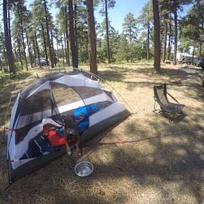 Mingus Mountain Campground