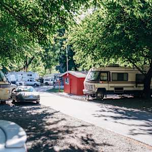 Tree lined RV neighborhood