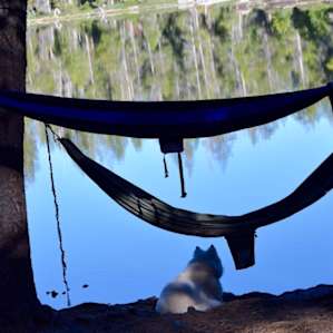 view of goose lake from the camp site