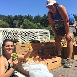 With Corn Crib owner Ginger, on her way to market with some incredibly colorful and delicious produce! Had to buy some, support local!!