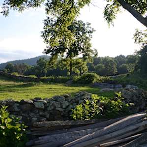 The property around the farmhouse is massive with pastures, a pond and trails for days.