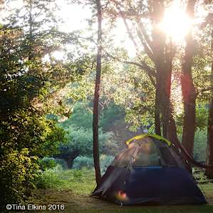 early evening in the tent site area above the beach