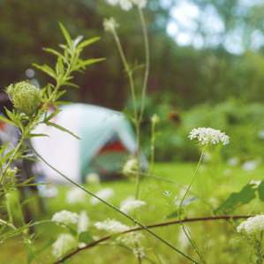 The campsites are comfortable and well maintained.
