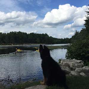 Laurel Lake