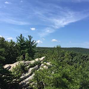 Pole Steeple Trail peak