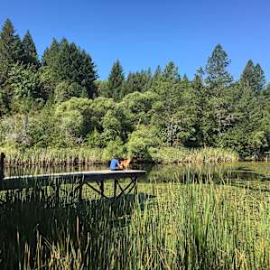 The Pond House