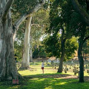 On your way to the yurt, you'll pass the first navy cemetery in the Pacific.