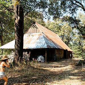 There are number of trails that take you out into the forest into truly unspoiled land.