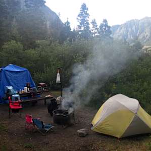Campsite #9 - 100 yards off road, behind #10, very private and quiet. Loved this spot.